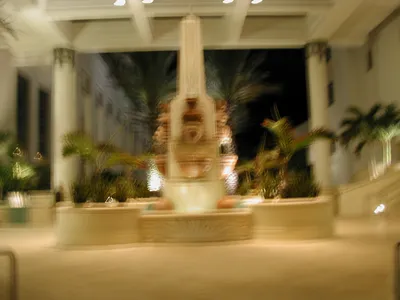 DSCN2476 (Large).JPG